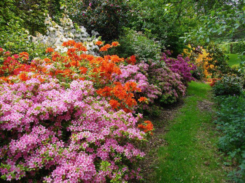 4 bedroom country house for sale in DARTMOOR LONGHOUSE IN 8.5 ACRES ON
