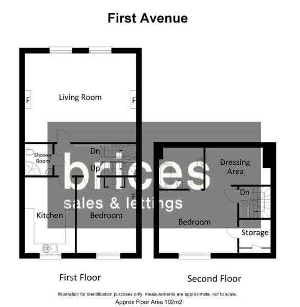 Master Floorplan Image 2