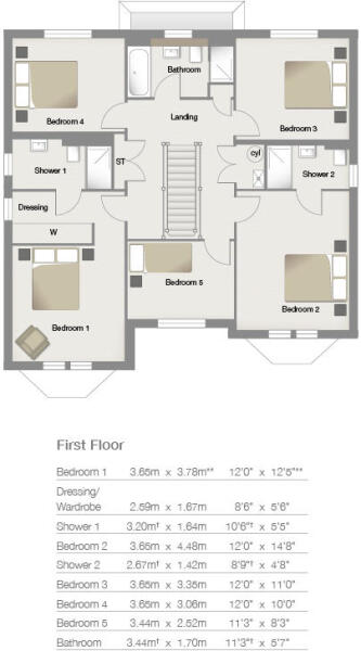 First Floor