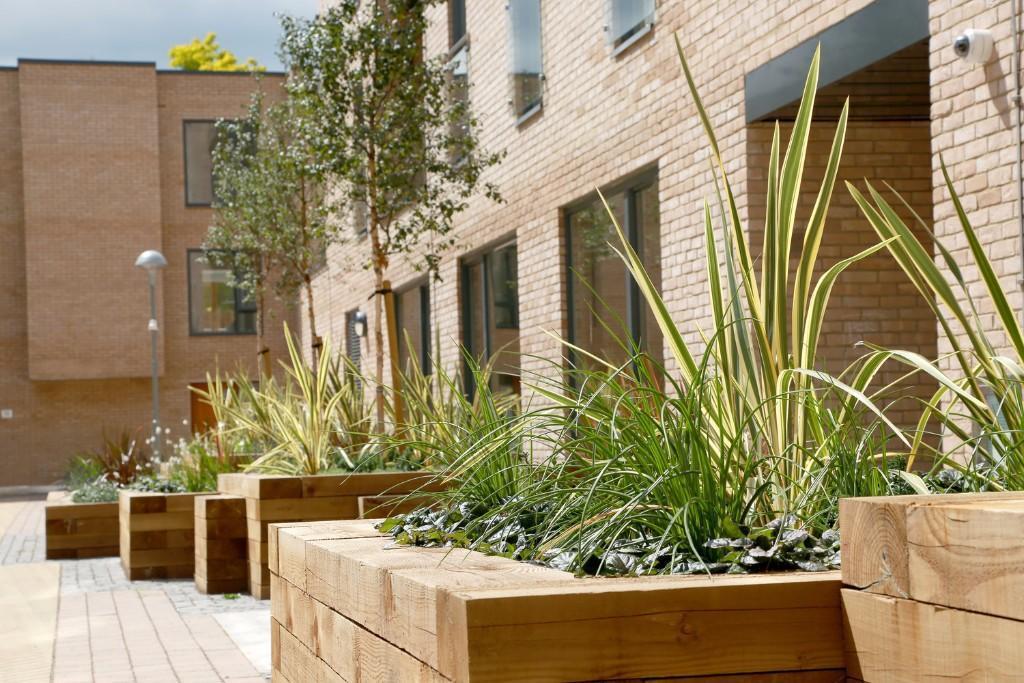 Brackenbury Grove