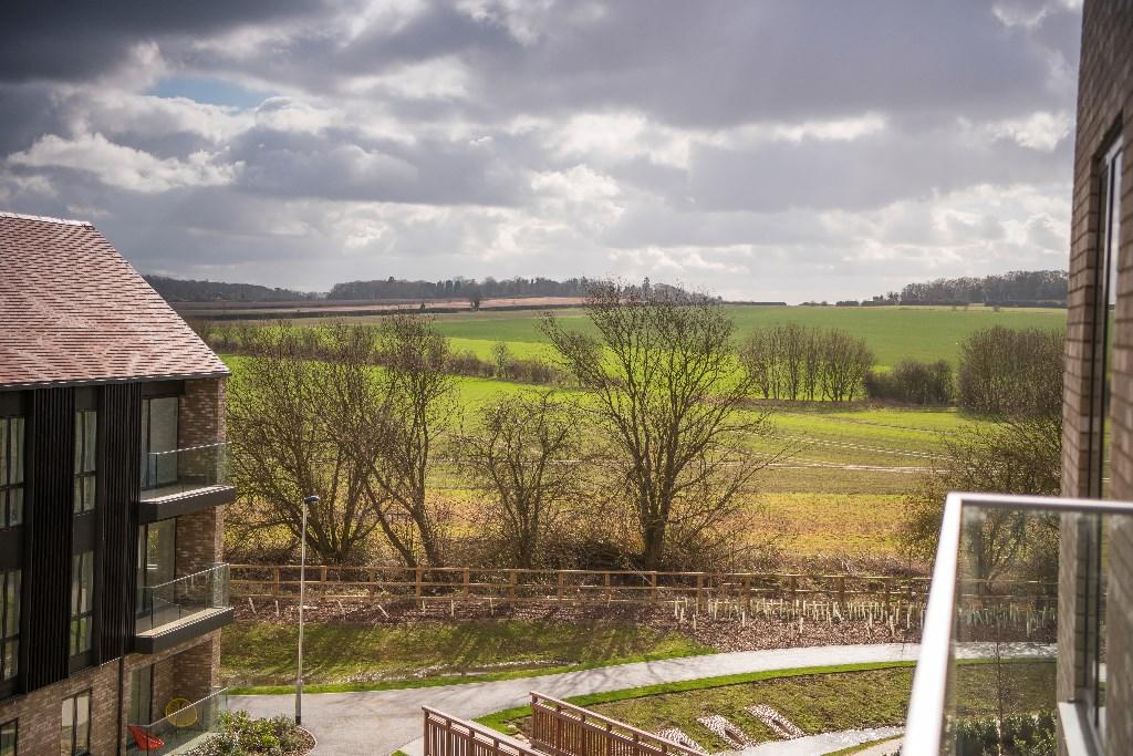 Ninewells,View