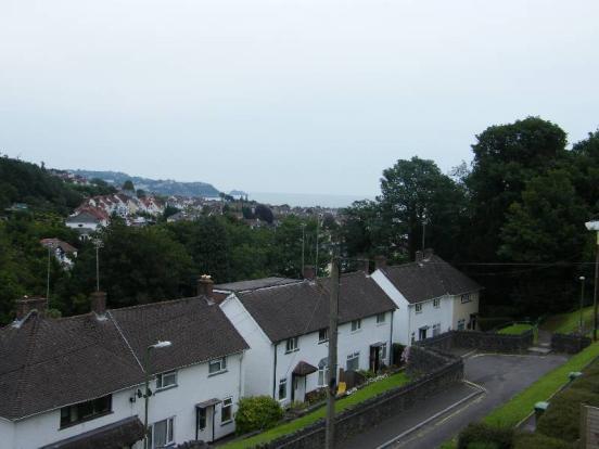 Picture 8