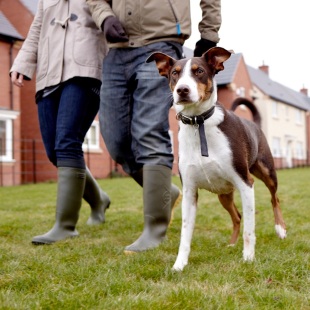 Grange Park by William Davis Homes, Burnaston Way,
Loughborough,
LE11 2HZ
