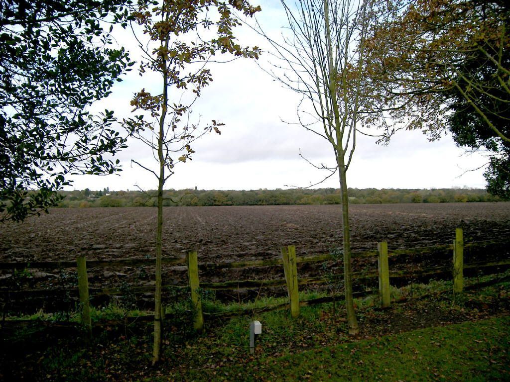 4 bedroom bungalow for sale in Forshaw Heath Lane, Earlswood, West