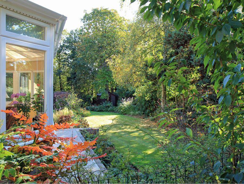 Click to see a larger image