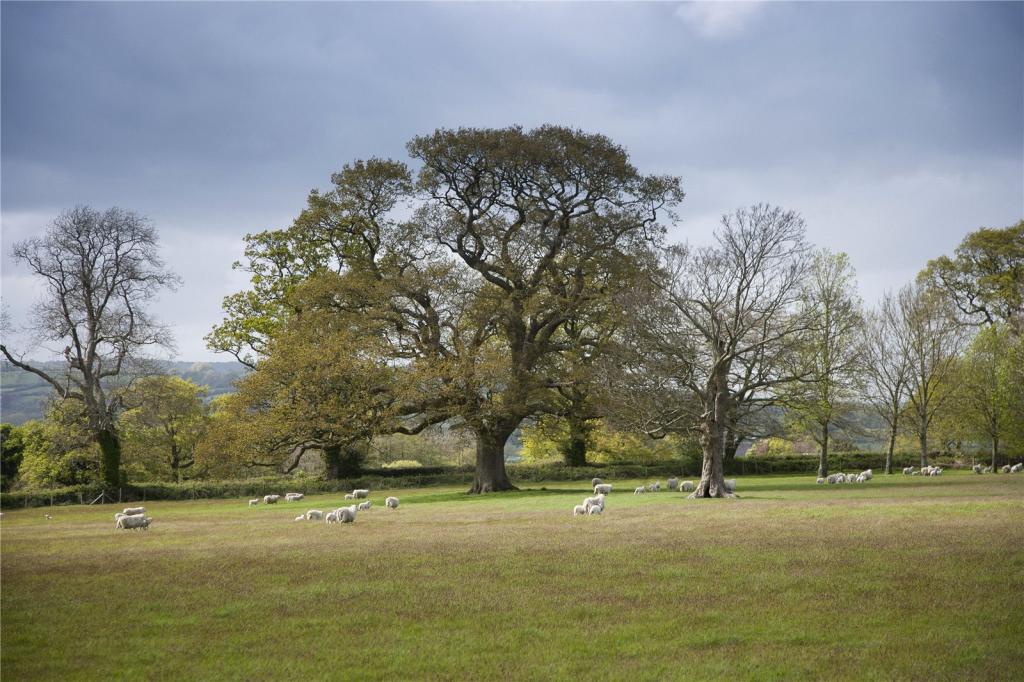 7 bedroom detached house for sale in Avishays, South