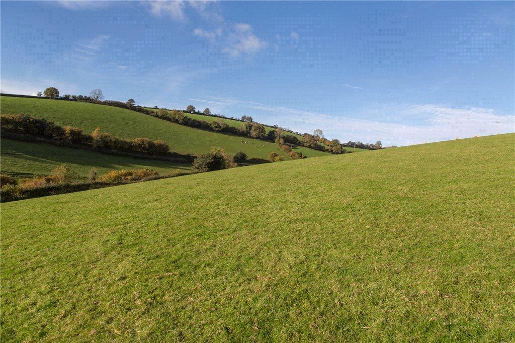 Land for sale in Silverton, Exeter, EX5