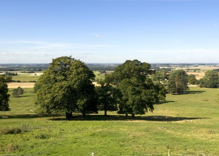 5 bedroom detached house for sale in Harmston Hall, Lincolnshire Lot