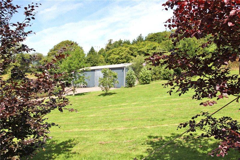 10 bedroom detached house for sale in Porthyrhyd, Nr Llandovery