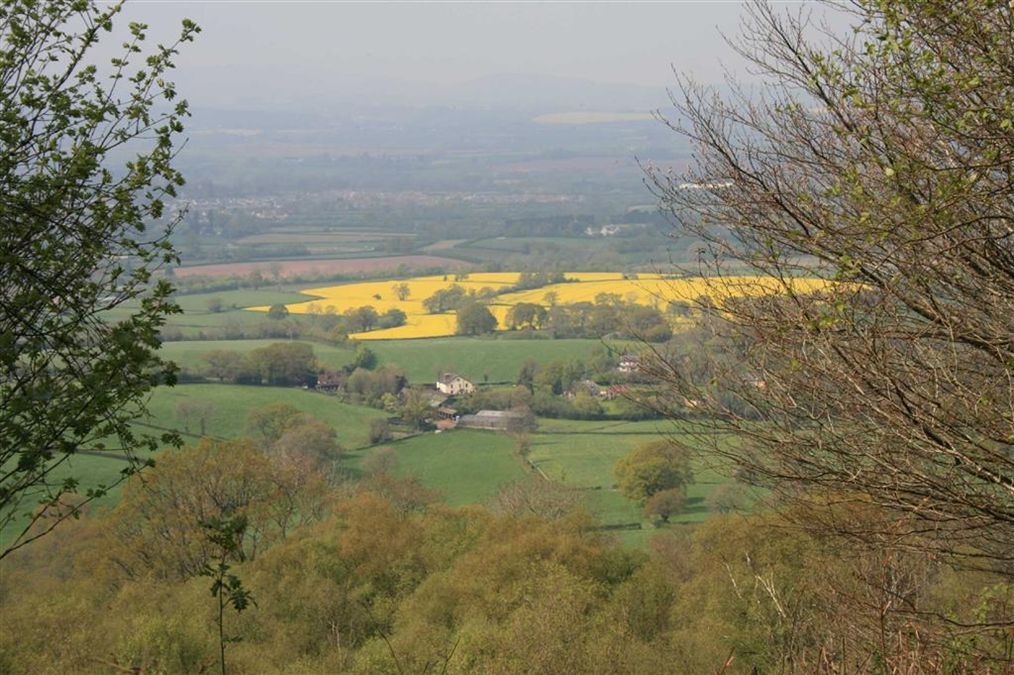 Land for sale in Blackdown Hills, Blackdown Hills, Somerset, TA21, TA21