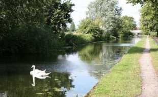 Wilsthorpe Meadows by W. Westerman Ltd., Wilsthorpe Meadows,
Long Eaton,
NG10