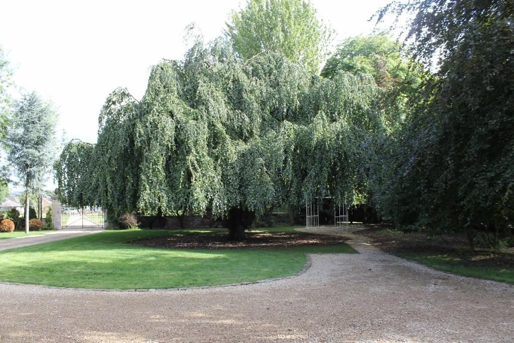 6 bedroom country house for sale in Clay Lane, Handforth, Cheshire, SK9