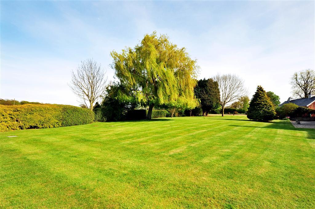 Click to see a larger image