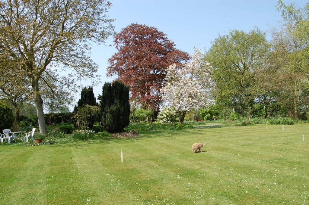 6 bedroom detached house for sale in Buxton Lammas, Norfolk, NR10