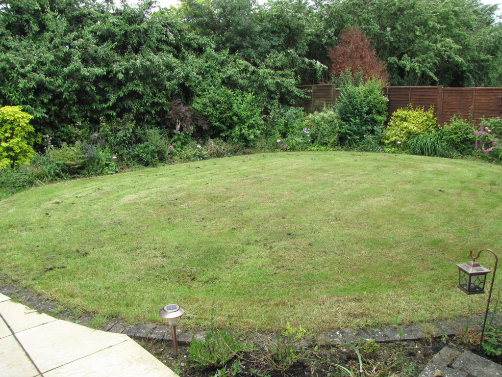 Click to see a larger image