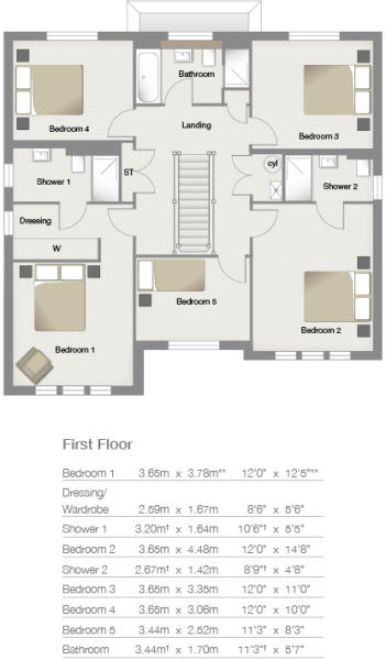 First Floor