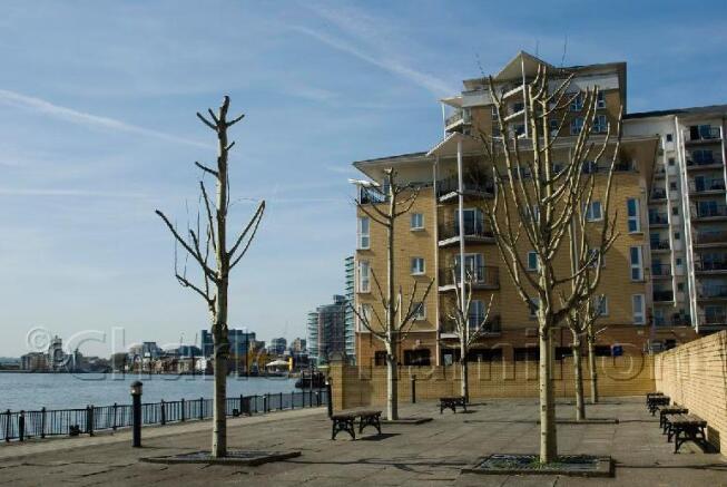 FLAT TO SHARE IN LONDON flat to share in london: