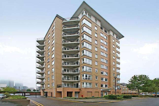 FLAT TO SHARE IN LONDON flat to share in london: