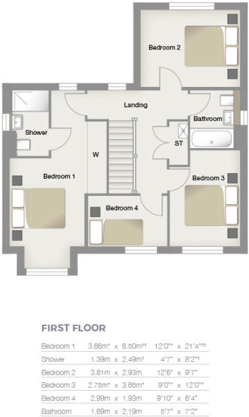First Floor