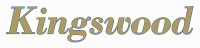 agent logo