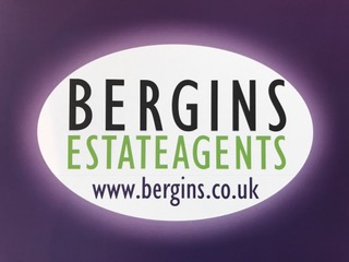 agent logo