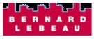 agent logo