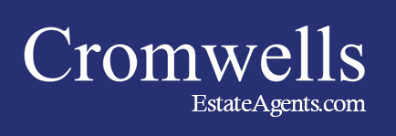 agent logo