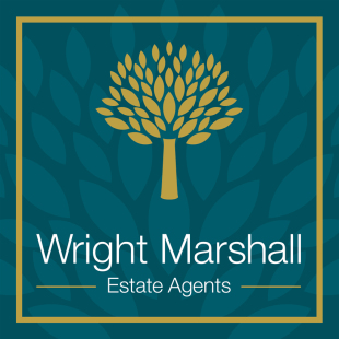 agent logo