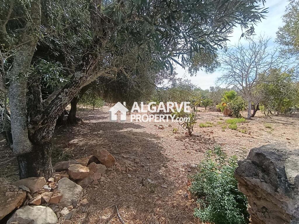 Main image of property: Algarve, Loulé