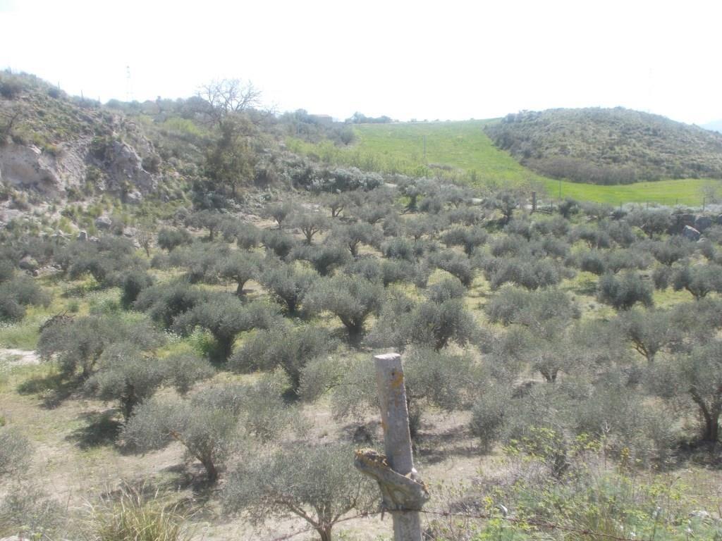 Main image of property: Caccamo, Palermo, Sicily