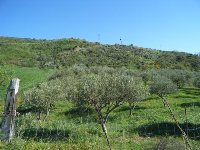 farm land for sale in Sicily, Palermo, Caccamo, Italy