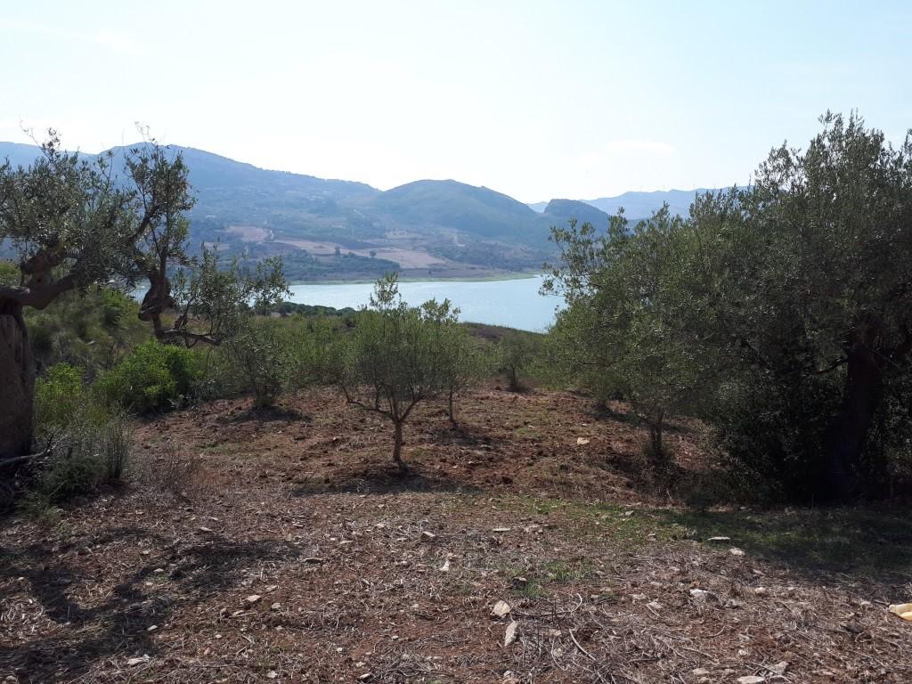 Caccamo Land for sale