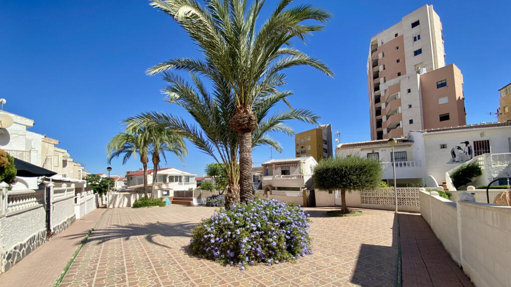 Main image of property: Valencia, Alicante, Torrevieja