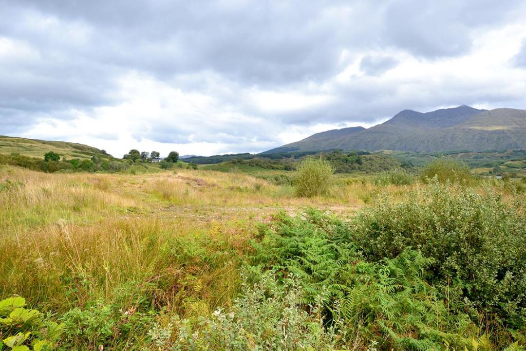 House for sale in Plot 6, Tromlee Woodlands, Kilchrenan, Taynuilt, PA35