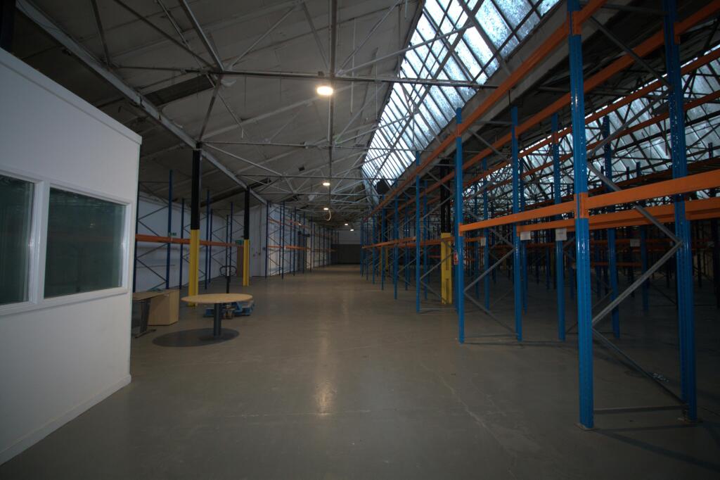 IMG_1870 - Copy (2).jpeg