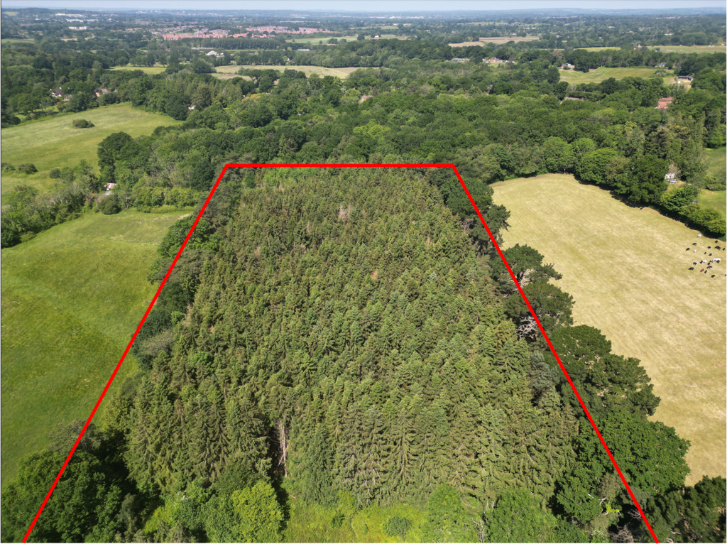 Land for sale in Lockhams Road, SO32