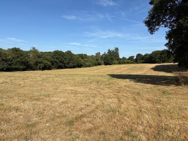 Main image of property: Tupps FIeld, Passfield Road, GU30 7RU
