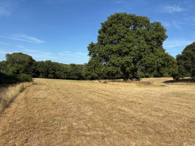 Main image of property: Tupps Field, Passfield Road, GU30 7RU
