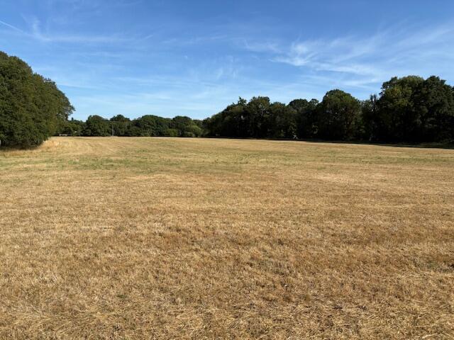 Main image of property: Lot 4 - Tupps Field, Passfield Road, GU30 7RU
