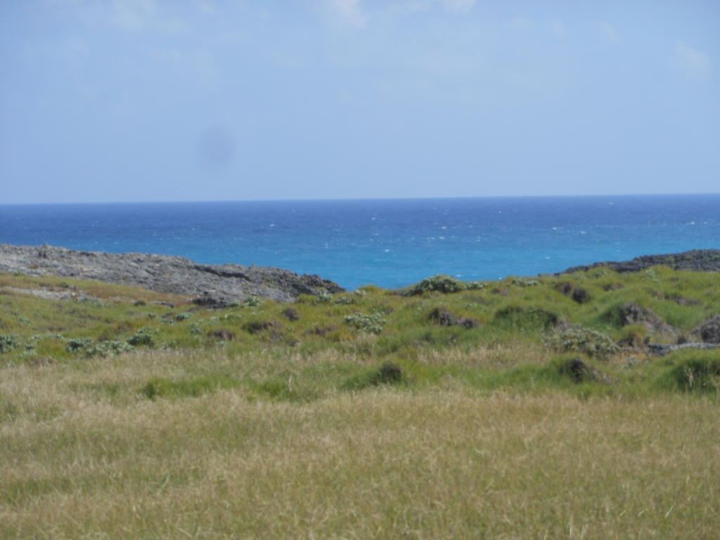Land for sale in St Philip, Bottom Bay, Barbados