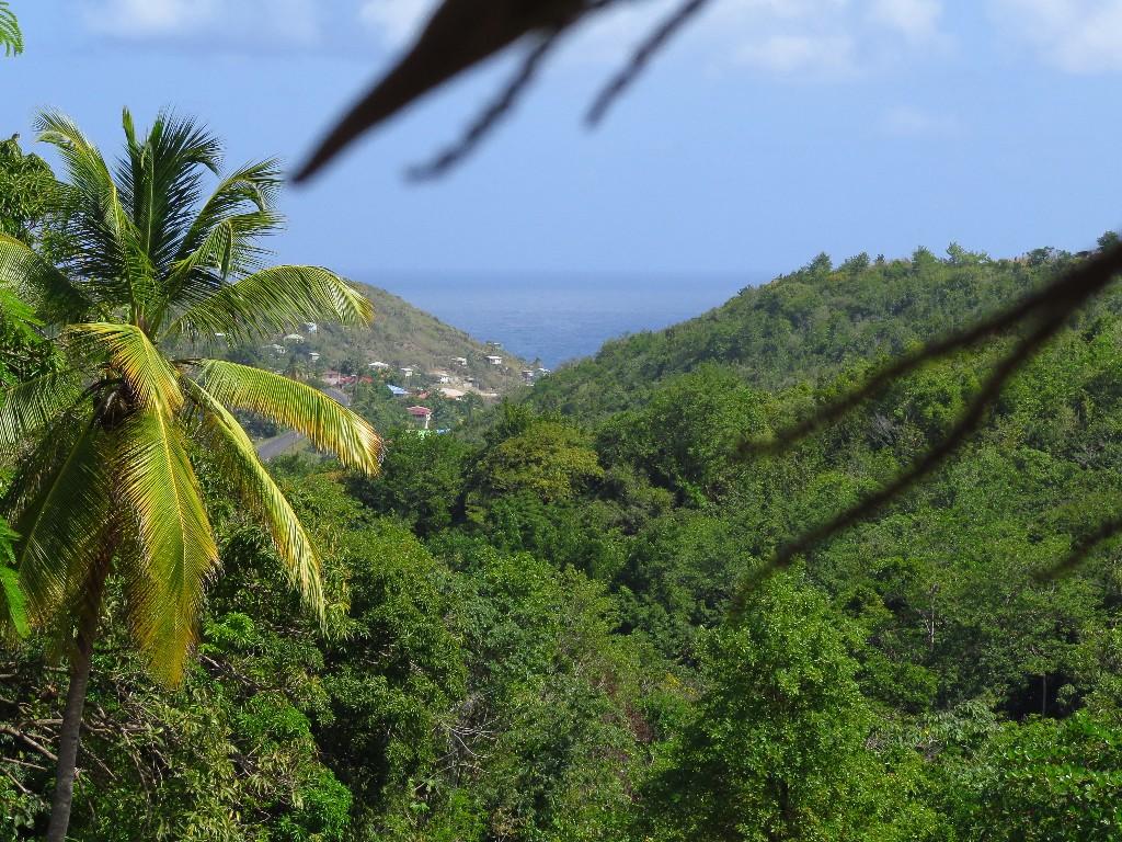 Land for sale in Dennery, St Lucia