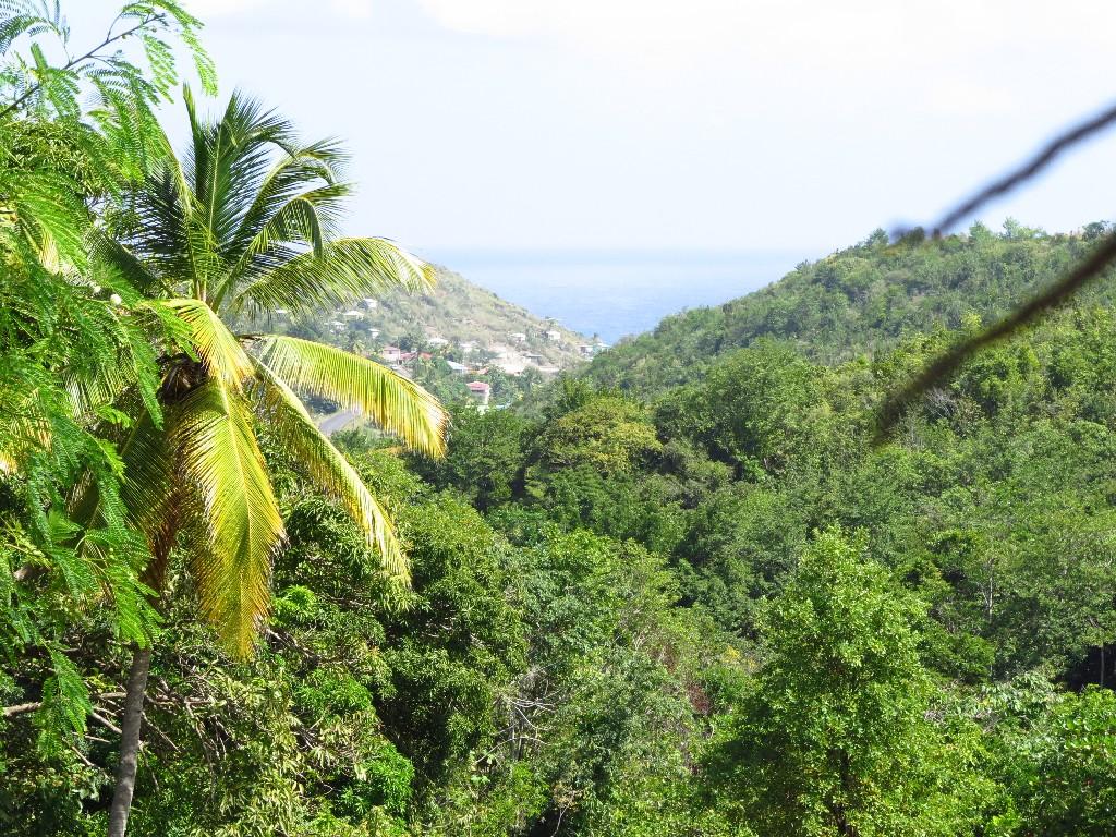 Land for sale in Dennery, St Lucia