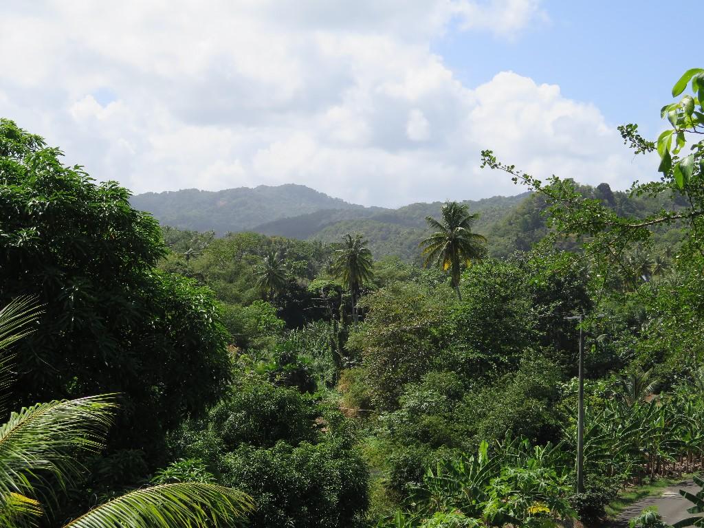 Land for sale in Dennery, St Lucia