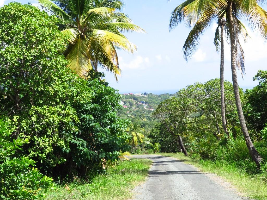 Land for sale in Dennery, St Lucia