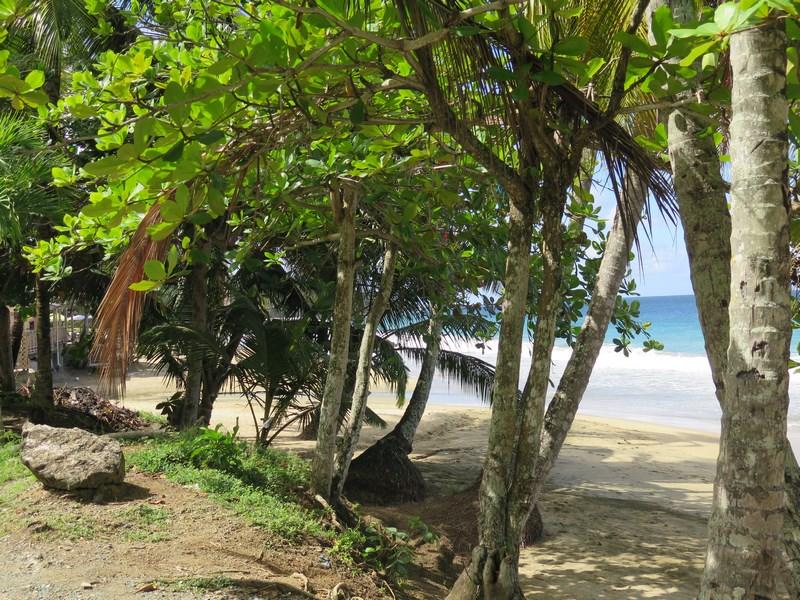 Land for sale in Scarborough, Tobago, Trinidad and Tobago
