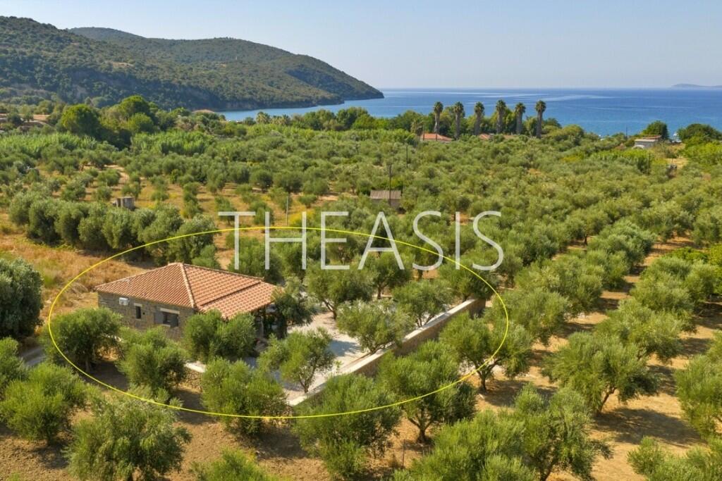 Main image of property: Foinikountas, Messinia, Peloponnese