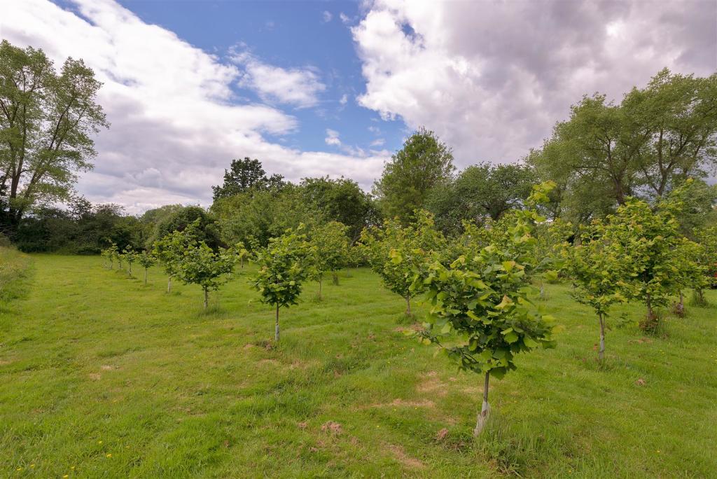 2 bedroom semidetached house for sale in Gravelly Ways, Laddingford