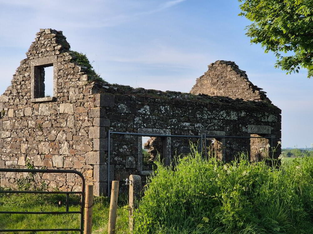 Main image of property: Kilkea Lower, Kilkea, Castledermot