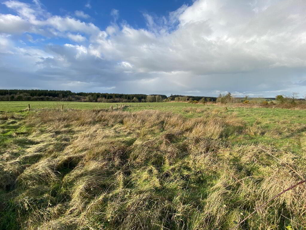 Main image of property: Boolyglas, Hugginstown