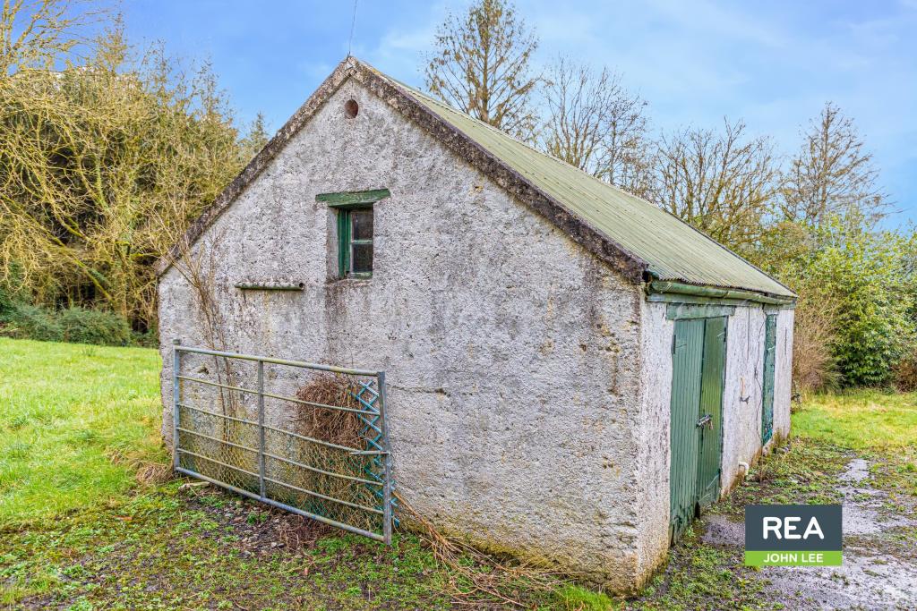 4 bedroom detached house for sale in Greenfields, Cappagh White